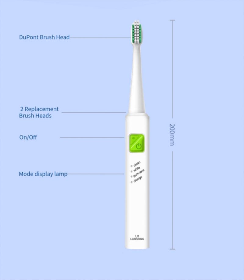 Waterproof Rechargeable Sonic Electric Toothbrush With LED Indicator electric toothbrush price battery powered pocket