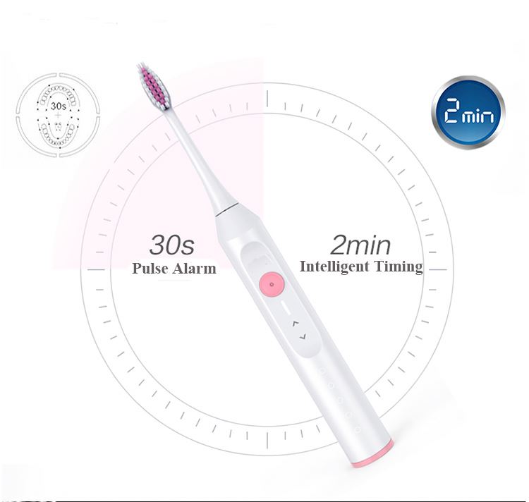 ML908 IPX8 waterproof vibration patent sonic Electric toothbrush with cheap price