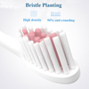Waterproof battery operated portable electric travel toothbrush new electric toothbrush battery